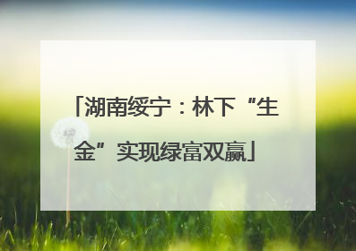 湖南绥宁：林下“生金”实现绿富双赢