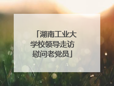 湖南工业大学校领导走访慰问老党员