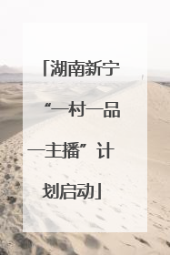 湖南新宁“一村一品一主播”计划启动