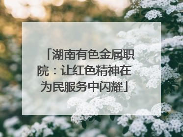 湖南有色金属职院：让红色精神在为民服务中闪耀