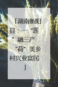 湖南衡阳县：一“莲”融三产 “荷”美乡村兴业富民