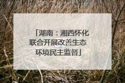 湖南：湘西怀化联合开展改善生态环境民主监督