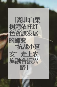 湖北白果树湾依托红色资源发展的蝶变——“抗战小延安”走上农旅融合振兴路