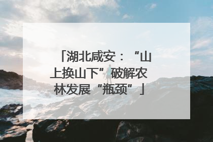 湖北咸安：“山上换山下”破解农林发展“瓶颈”