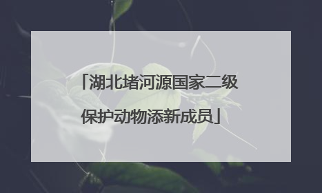 湖北堵河源国家二级保护动物添新成员