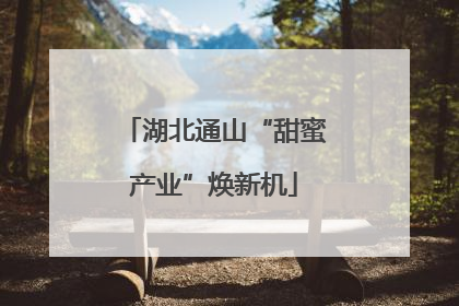 湖北通山“甜蜜产业”焕新机