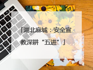 湖北麻城：安全宣教深耕“五进”