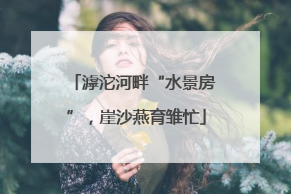 滹沱河畔“水景房”，崖沙燕育雏忙