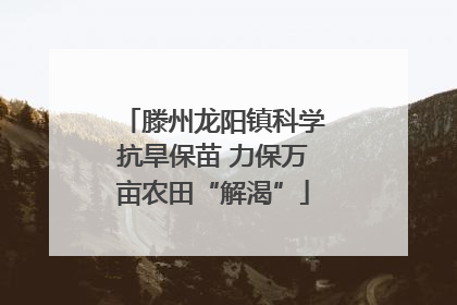 滕州龙阳镇科学抗旱保苗 力保万亩农田“解渴”