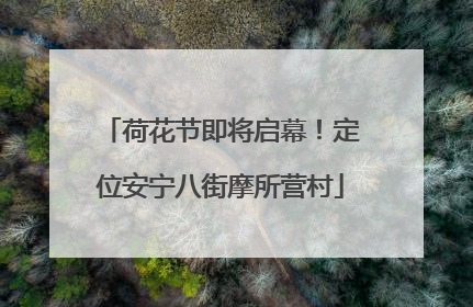 荷花节即将启幕！定位安宁八街摩所营村