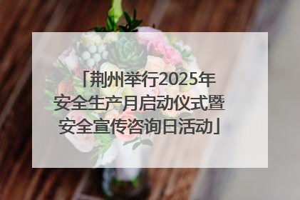 荆州举行2025年安全生产月启动仪式暨安全宣传咨询日活动