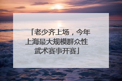 老少齐上场，今年上海最大规模群众性武术赛事开赛