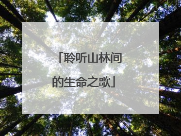聆听山林间的生命之歌