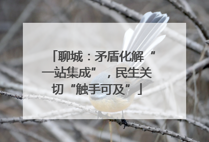 聊城：矛盾化解“一站集成”，民生关切“触手可及”