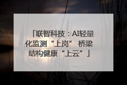 联智科技：AI轻量化监测“上岗” 桥梁结构健康“上云”