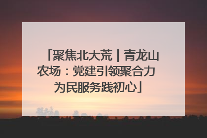 聚焦北大荒｜青龙山农场：党建引领聚合力 为民服务践初心
