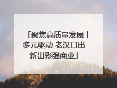聚焦高质量发展丨多元驱动 老汉口出新出彩强商业