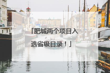 肥城两个项目入选省级目录！
