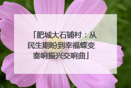 肥城大石铺村：从民生期盼到幸福蝶变奏响振兴交响曲