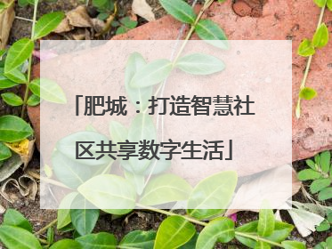 肥城：打造智慧社区共享数字生活