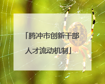 腾冲市创新干部人才流动机制