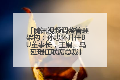 腾讯视频调整管理架构：孙忠怀升任BU董事长，王娟、马延琨任联席总裁