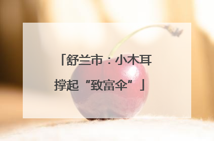 舒兰市：小木耳撑起“致富伞”
