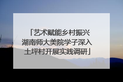 艺术赋能乡村振兴 湖南师大美院学子深入土坪村开展实践调研