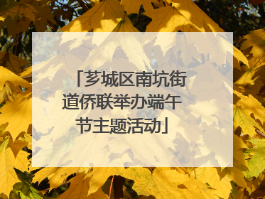 芗城区南坑街道侨联举办端午节主题活动