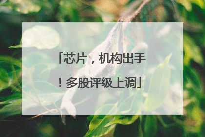 芯片，机构出手！多股评级上调