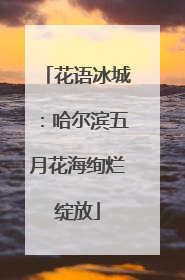 花语冰城：哈尔滨五月花海绚烂绽放