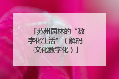 苏州园林的“数字化生活”（解码·文化数字化）