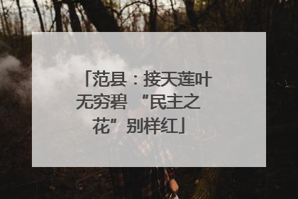范县：接天莲叶无穷碧 “民主之花”别样红