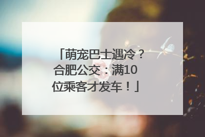 萌宠巴士遇冷？合肥公交：满10位乘客才发车！