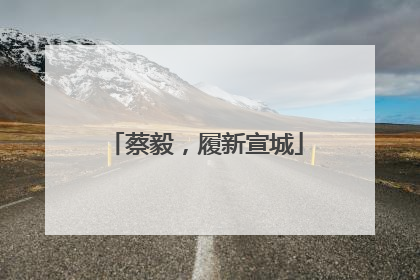 蔡毅，履新宣城