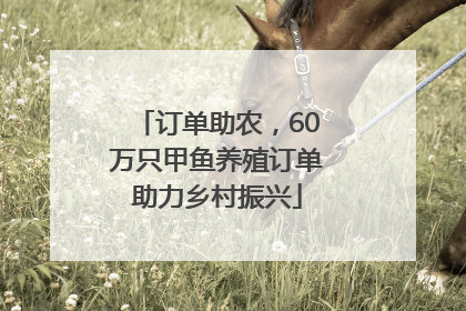 订单助农，60万只甲鱼养殖订单助力乡村振兴