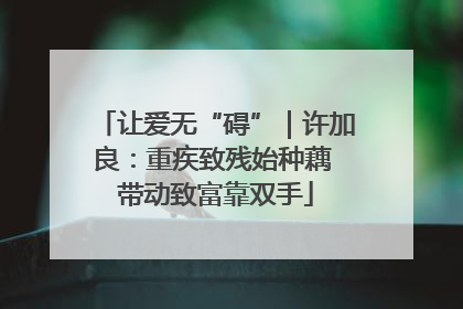 让爱无“碍”｜许加良：重疾致残始种藕 带动致富靠双手