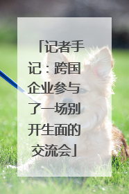记者手记：跨国企业参与了一场别开生面的交流会
