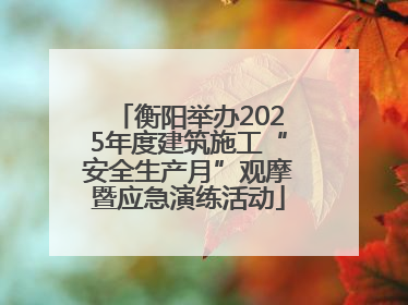 衡阳举办2025年度建筑施工“安全生产月”观摩暨应急演练活动
