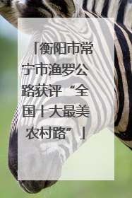 衡阳市常宁市渔罗公路获评“全国十大最美农村路”