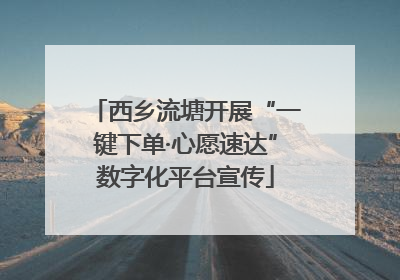 西乡流塘开展“一键下单·心愿速达”数字化平台宣传