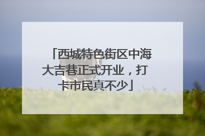 西城特色街区中海大吉巷正式开业，打卡市民真不少