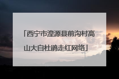 西宁市湟源县前沟村高山大白杜鹃走红网络