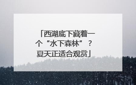 西湖底下藏着一个“水下森林”？夏天正适合观赏