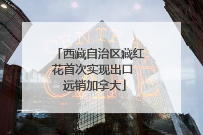 西藏自治区藏红花首次实现出口 远销加拿大