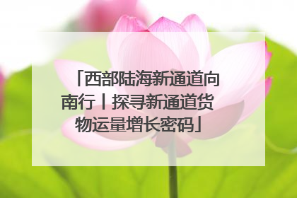 西部陆海新通道向南行丨探寻新通道货物运量增长密码