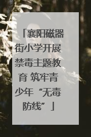 襄阳磁器街小学开展禁毒主题教育 筑牢青少年“无毒防线”
