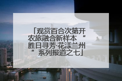 观赏百合次第开 农旅融合新样本 “胜日寻芳·花漾兰州”系列报道之七