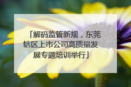 解码监管新规，东莞辖区上市公司高质量发展专题培训举行