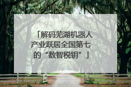 解码芜湖机器人产业跃居全国第七的“数智税钥”
